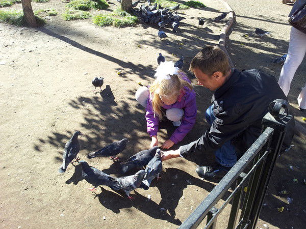 Михаил Соколов