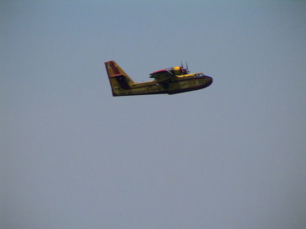 Игорь Николаев