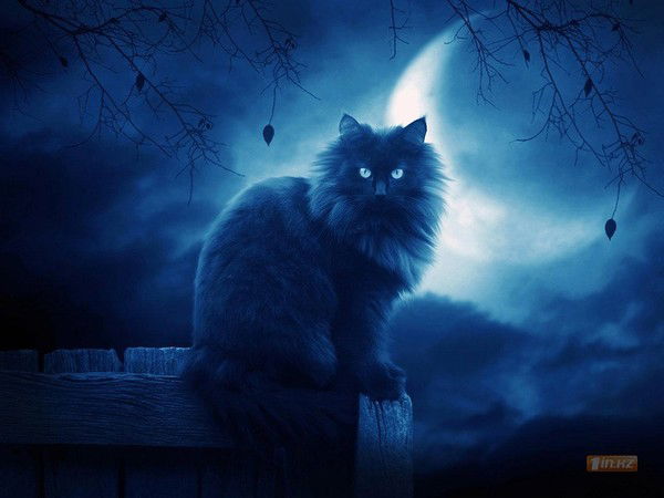 Михаил Роженков