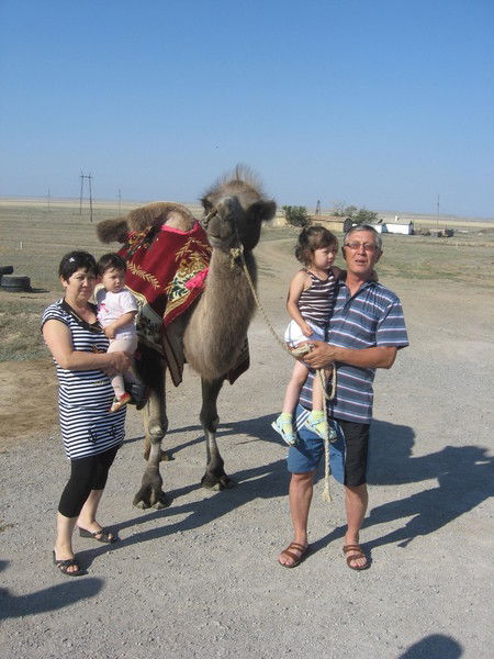 Гульшат Абдишева