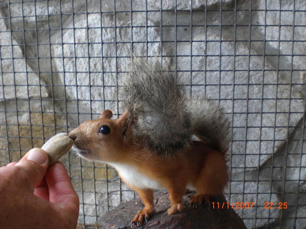 Владимир Березин