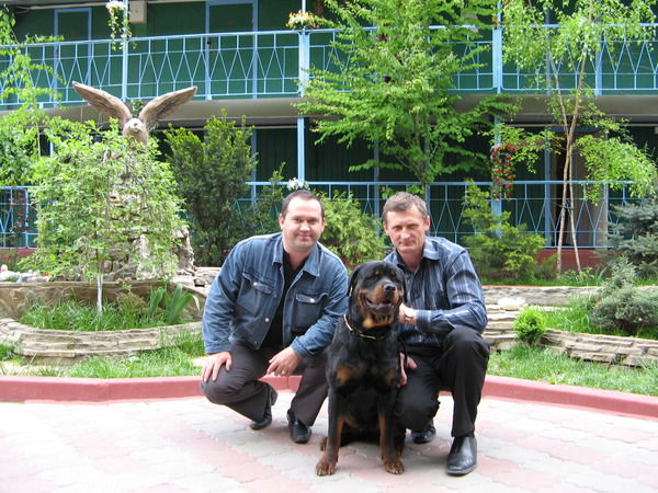 Флорин Истратий