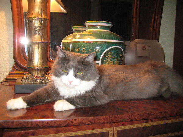 Галина Галина