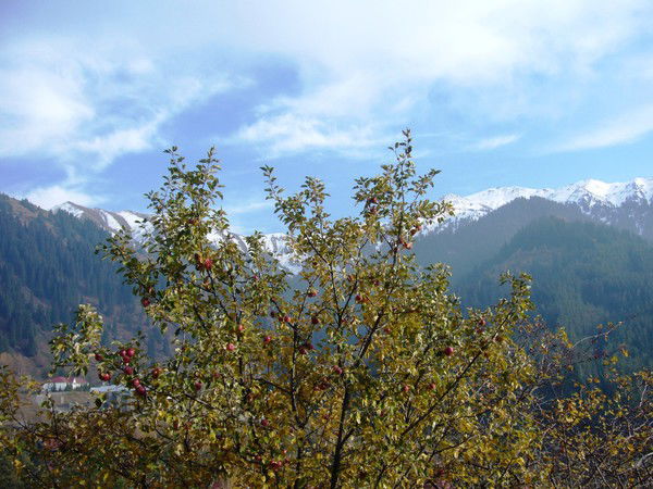 Александр А