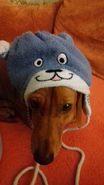 Сергей Ромасько