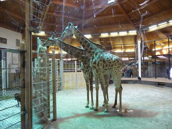 Горваль Валентин