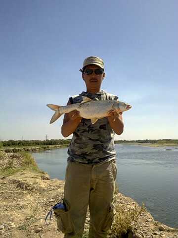 Сергей Тоймухамедов