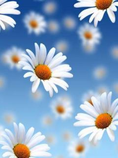 Татьяна Дятлова(Кофлер)