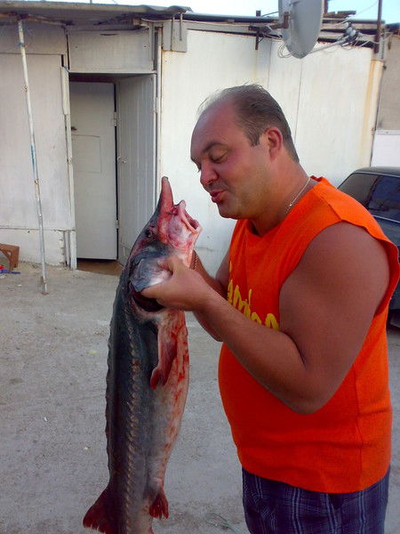 Александер Бояркин