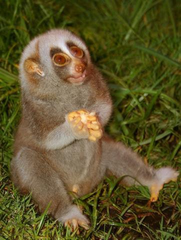 Александр Шевченко