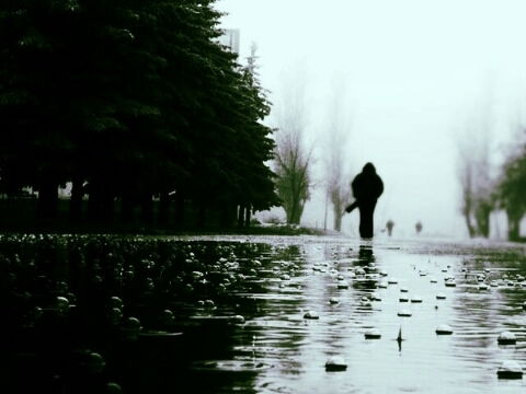 Рашид Айбусинов