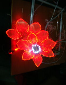 Алла Остапенко