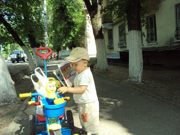 Алиман Ибраимова