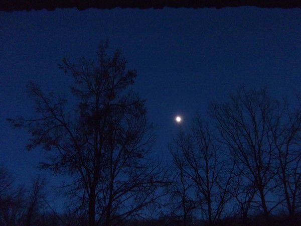 Юрий Александрович