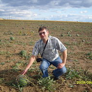 Владимир Карманов