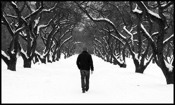 Денис Евстигнеев