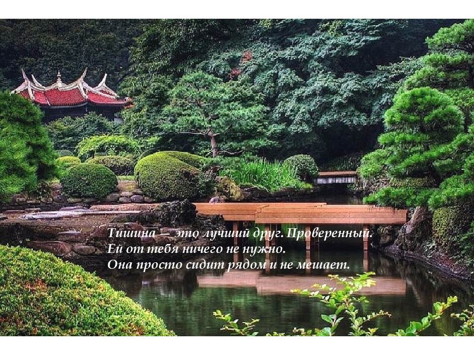 Библиотека Джерело