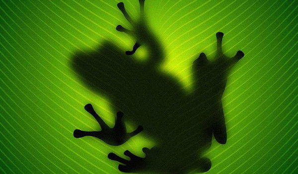 Олег Волошин