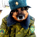 Екатерина Михайлова