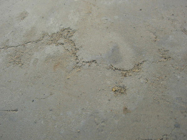 Алексей Галкин