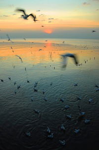 Ирина Ардельянова