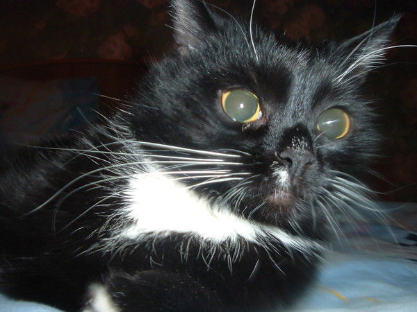 Анастасия Григорьева