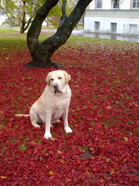 Нина Теплякова