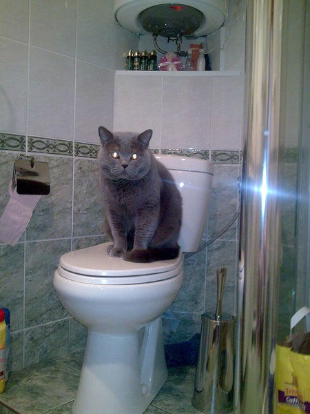 Сергей Агафонов