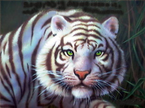 Светлана Ворона