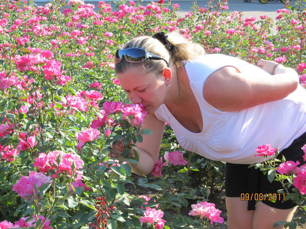 Юлия Устрой