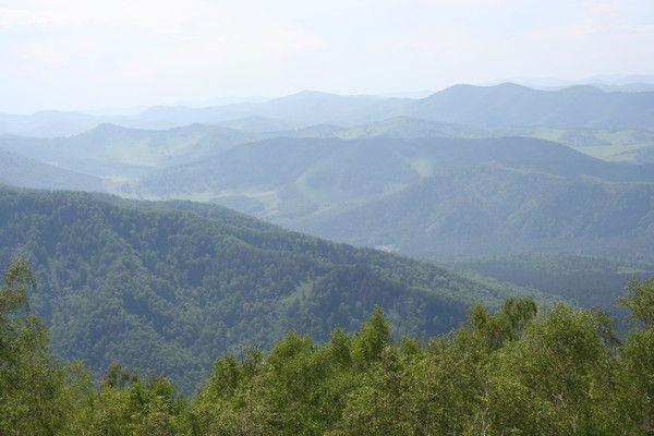 Александр Каковкин