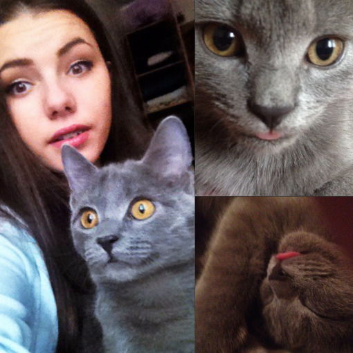 Марія Сорокач