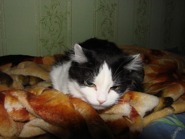 Тамара Шестова