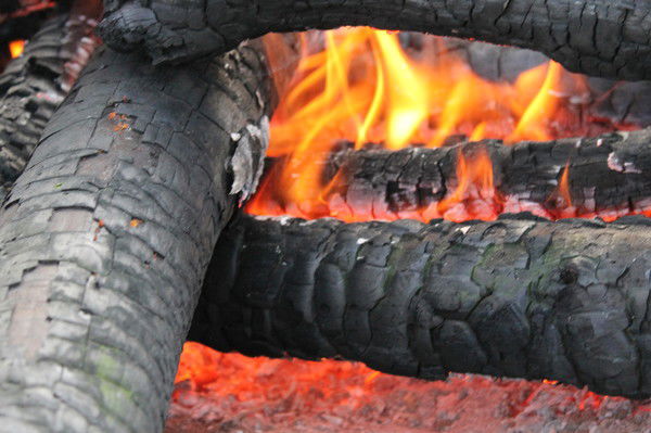 Виталий Гонохов