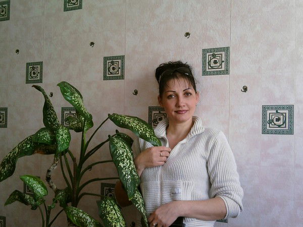 Елена Климова