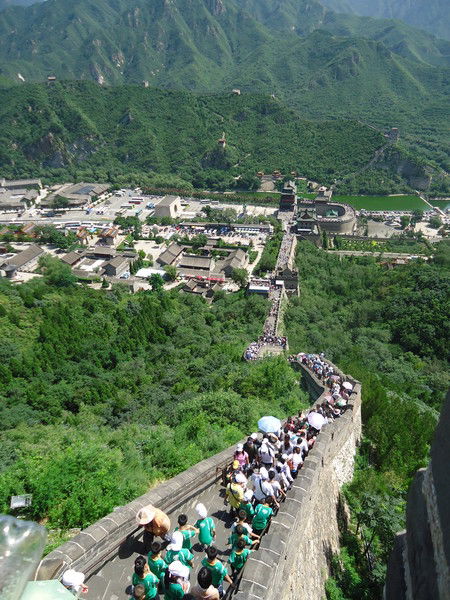 Елена Максимова