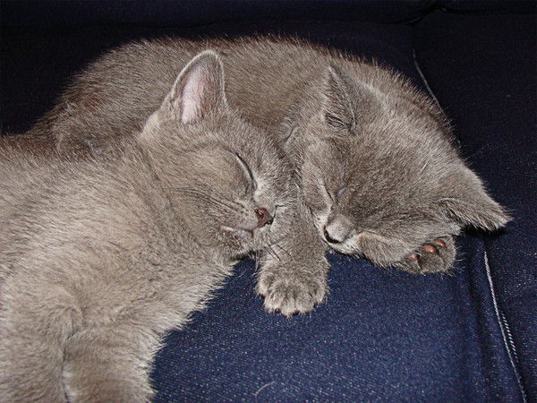 Лариса Пономарева