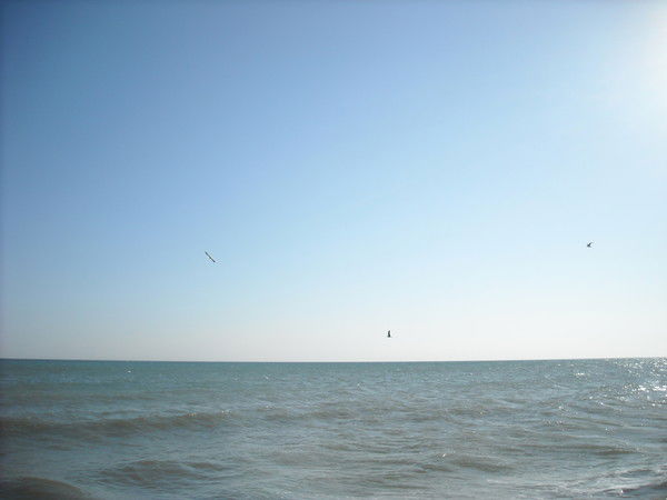 Сорокин Павел