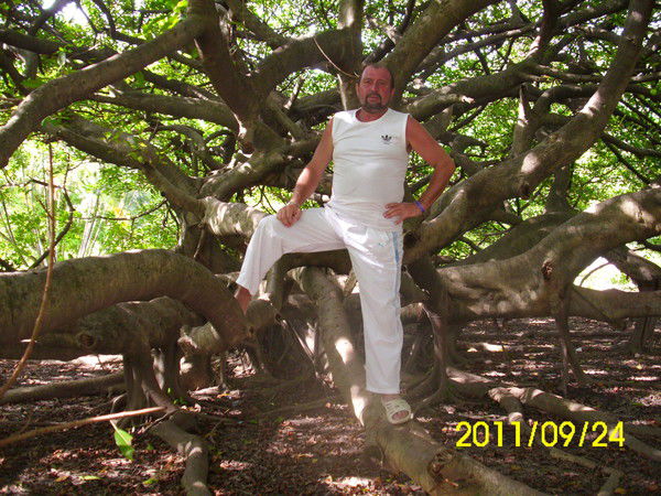 Сергей Петин