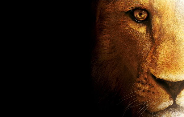 Александр Кобзарь