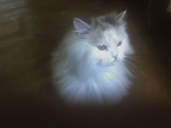 Геннадий Кулыженко