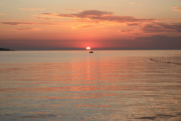 Галинка Розенауер