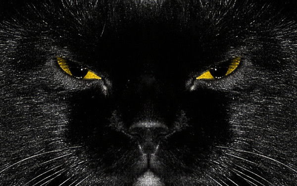 Ольга Шкотских