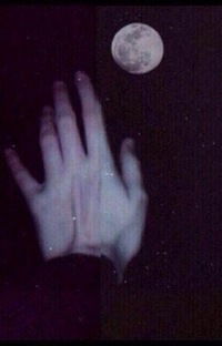 Виктор Сталин