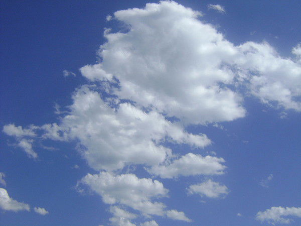 Снежанна Афилова