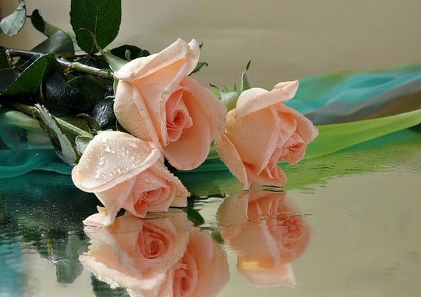 Лариса Им /бондарчук/