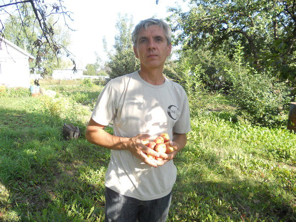 Александр Елисов