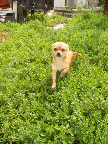 Ольга Какутина