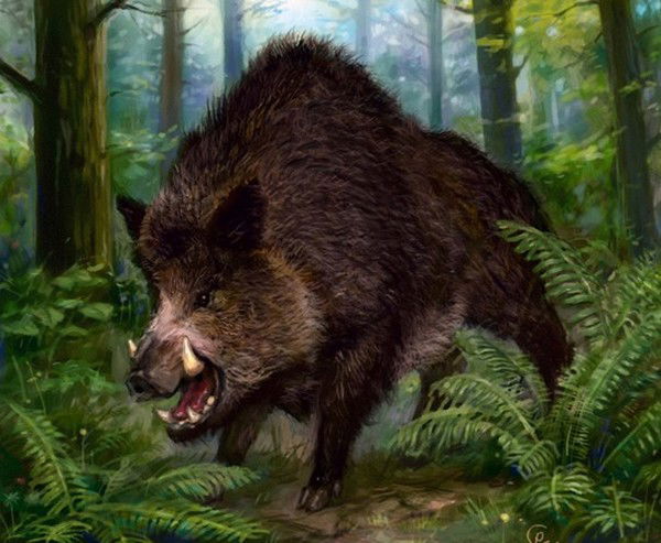 Валентин Белан