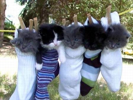 Елена Терпугова